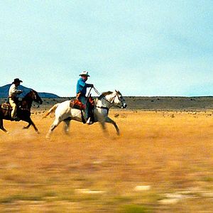 Bilder Anne Feinsilber