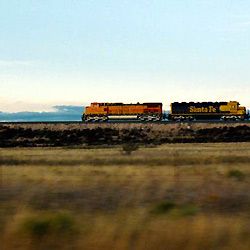 Bilder Anne Feinsilber