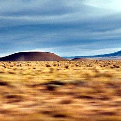 Bilder Anne Feinsilber