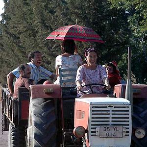 Bilder Mein Vater und mein Sohn