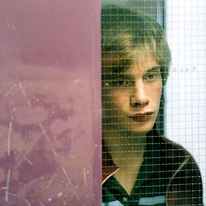 Bilder Der Kuss des Käfers