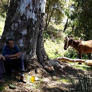 Bilder Rachida Brakni