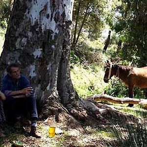 Bilder Rachida Brakni