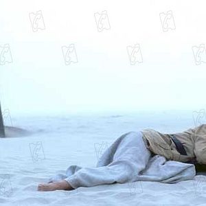 Bilder Andrucha Waddington