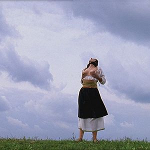 Bilder Marina Abramovic