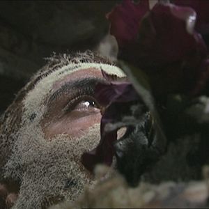 Bilder Matthew Barney