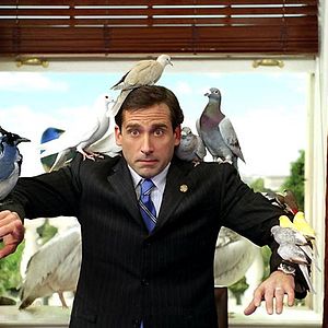 Bilder Steve Carell