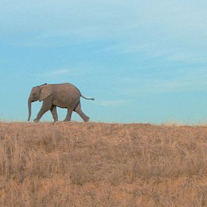 Bilder Mario Andreacchio