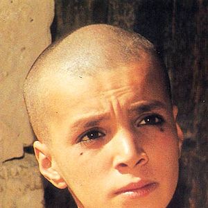 Bilder Die Wanderer der Wüste