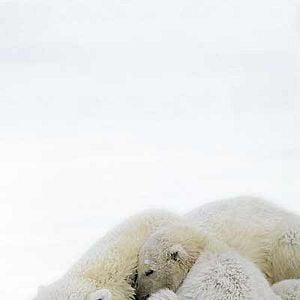 Bilder Unsere Erde - Der Film