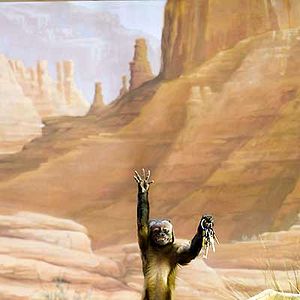 Bilder Nachts im Museum