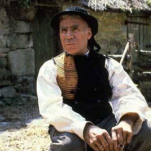 Bilder Das Traumpferd