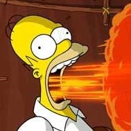 Bilder David Silverman