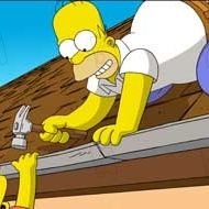 Bilder David Silverman