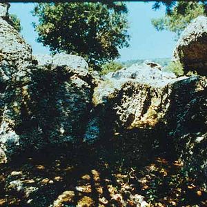 Bilder Danièle Huillet