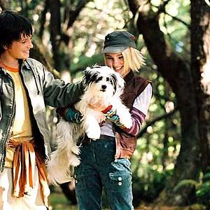 Bilder Josh Hutcherson