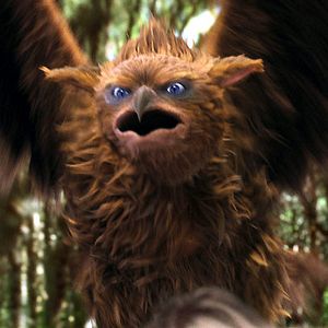 Bilder Gábor Csupó