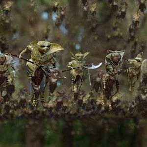 Bilder Gábor Csupó