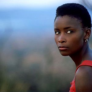 Bilder Phillip Noyce