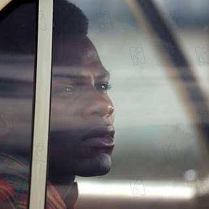 Bilder Phillip Noyce