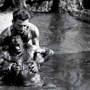 Bilder Lohn der Angst