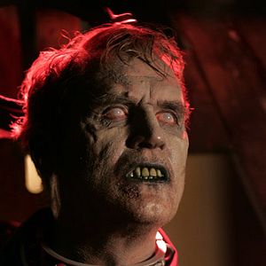 Bilder Andrew Currie