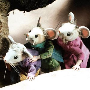 Bilder Abdollah Alimorad