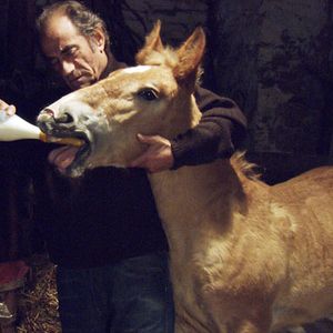 Bilder Richard Bohringer