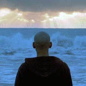 Bilder Diego Rafecas