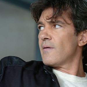 Bilder Kunsträuber küsst man nicht