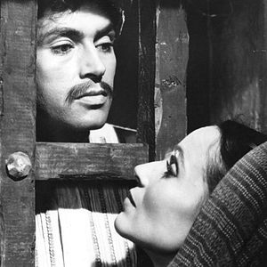 Bilder Emilio Fernandez