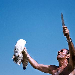 Bilder Richard Bohringer