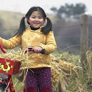 Bilder Ein Pferd für Winky