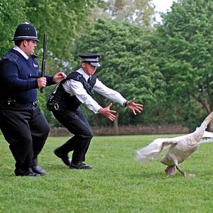 Bilder Hot Fuzz - Zwei abgewichste Profis