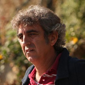 Bilder Julien Cafaro