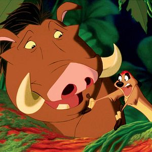 Bilder Der König der Löwen