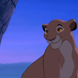 Bilder Der König der Löwen