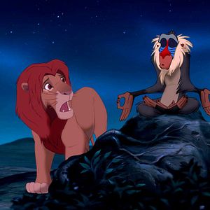 Bilder Der König der Löwen