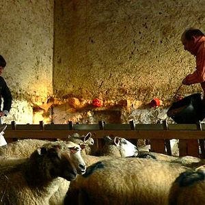 Bilder Jean-François Stévenin