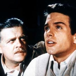 Bilder Warren Beatty