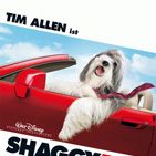 Bilder The Shaggy Dog