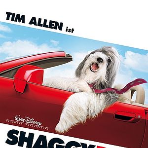 Bilder The Shaggy Dog