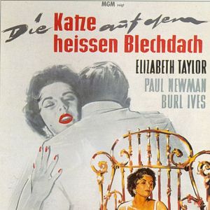 Bilder Die Katze auf dem heißen Blechdach