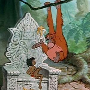 Bilder Das Dschungelbuch