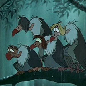 Bilder Das Dschungelbuch