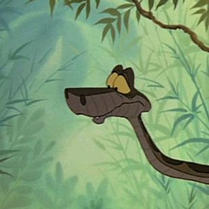 Bilder Das Dschungelbuch