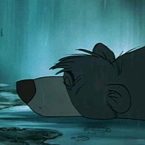 Bilder Das Dschungelbuch