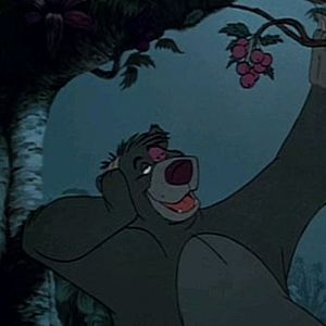 Bilder Das Dschungelbuch