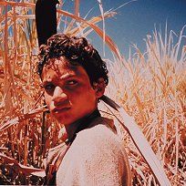 Bilder Hinter der Sonne