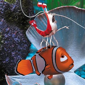 Bilder Findet Nemo